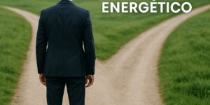 software a medida en el sector energético